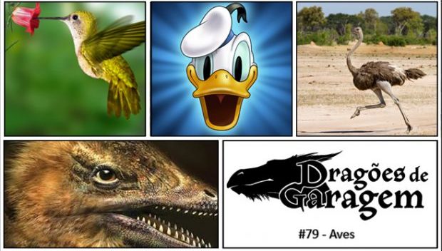 Dragões de Garagem #79 Aves