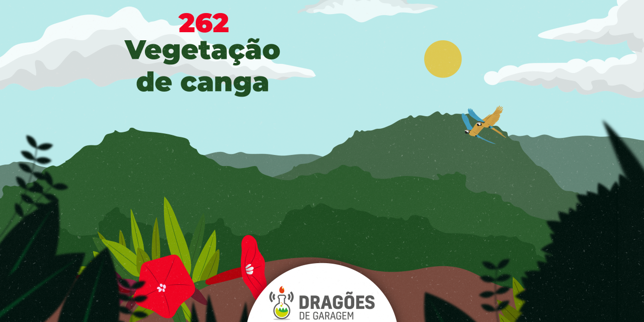 Vegetação de canga – Dragões de Garagem #262
