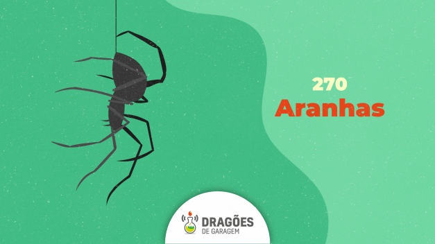 Aranhas – Dragões de Garagem #270