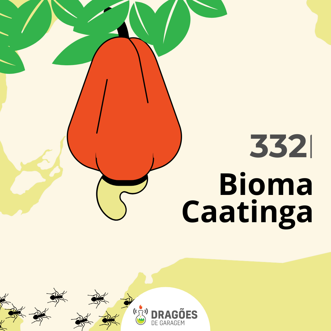 Bioma Caatinga – Dragões de Garagem #332