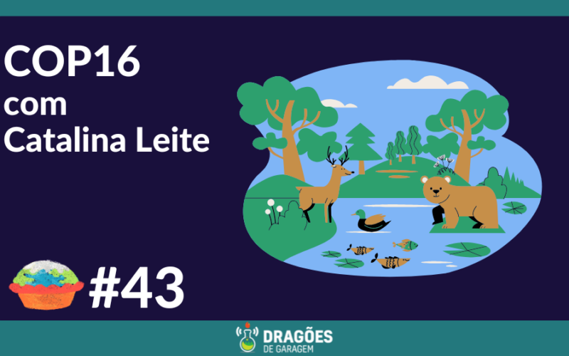 "Cop 16 com Catalina Leite" escrito em branco sobre um fundo azul marinho. à direita uma imagem, colorida e desenhada, de um rio com ursos, tartarugas, veados e árvores.