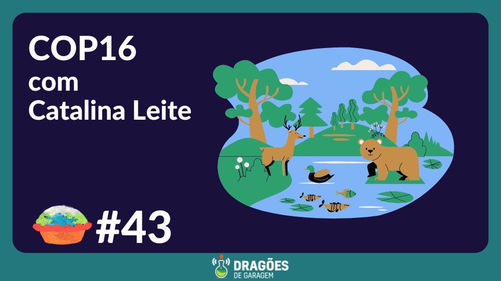 "Cop 16 com Catalina Leite" escrito em branco sobre um fundo azul marinho. à direita uma imagem, colorida e desenhada, de um rio com ursos, tartarugas, veados e árvores.