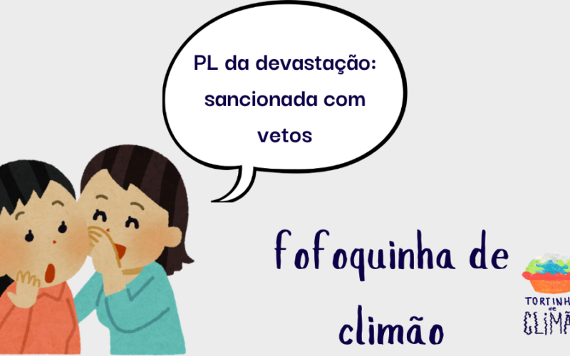 duas pessoas desenhadas de maneira infantil, colorida, com cabelo coimprido e castanho, em posição de contando um segredo e um balão de fala com os dizeres "PL da devastação: sancionada com vetos". abaixo em letra azul "fofoquinha de climão".