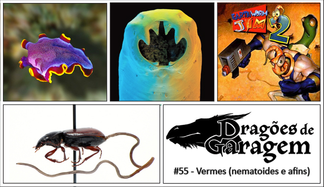 Dragões de Garagem #55 Vermes (nematoides e afins)