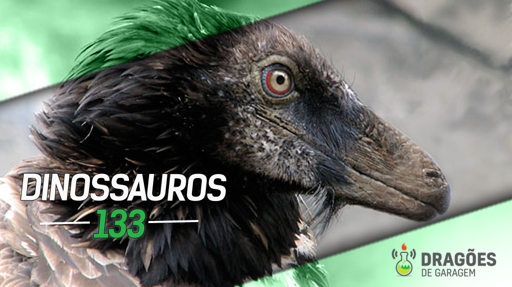 Dragões de Garagem #133 Dinossauros