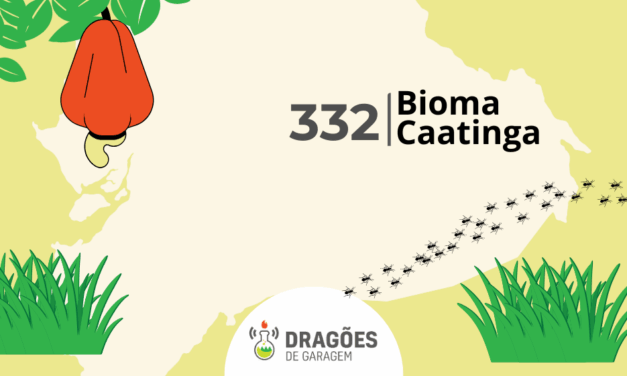 Bioma Caatinga – Dragões de Garagem #332