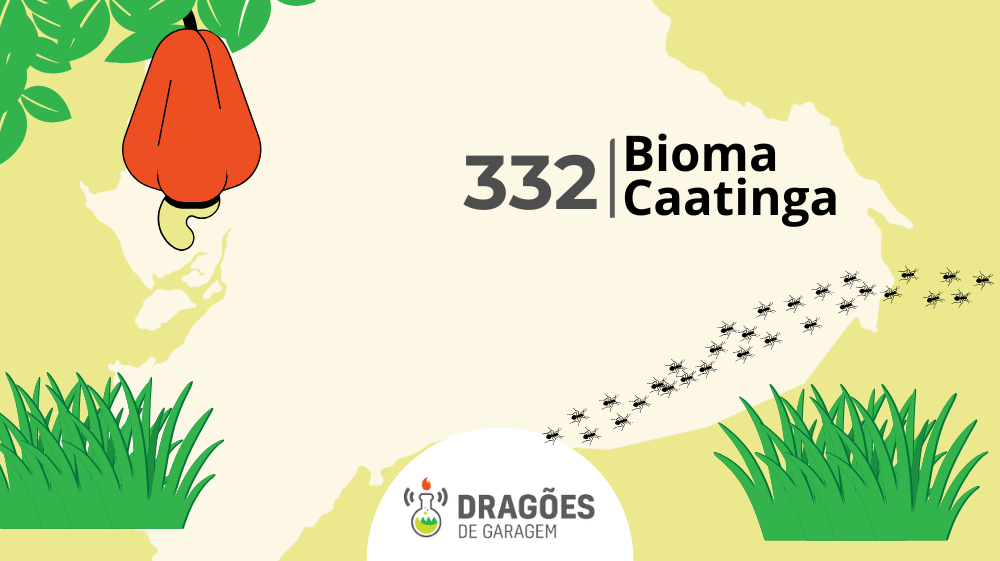 Bioma Caatinga – Dragões de Garagem #332